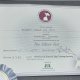Good Citizen Silver Award